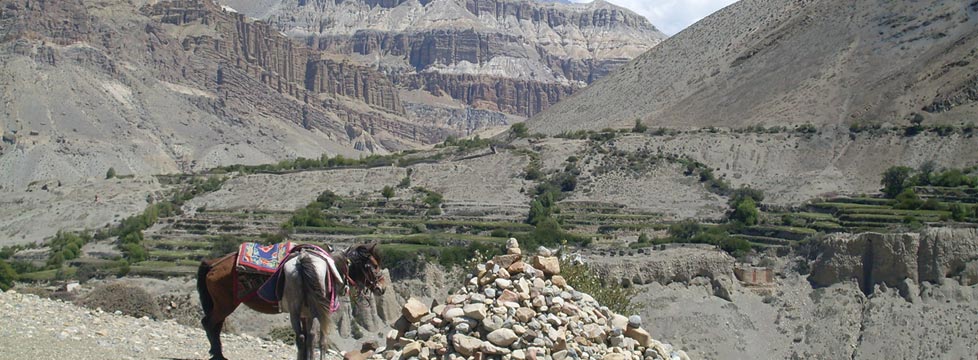 Mustang Trekking - 17 Days